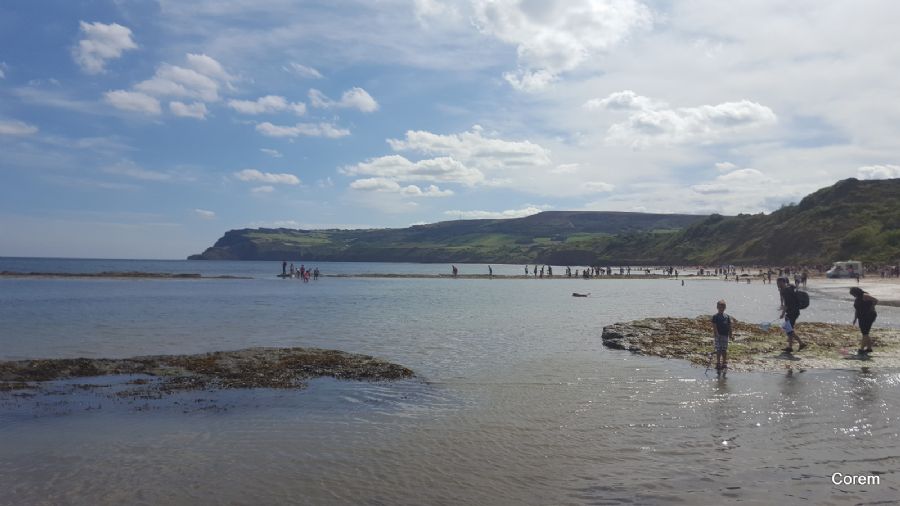 משחקי הגיאות והשפל